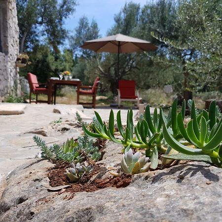 Holiday Home Strpuncina Luka  Екстериор снимка