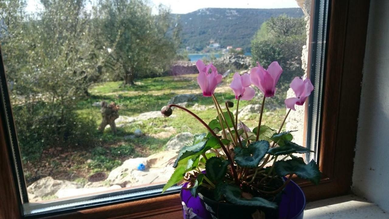 Holiday Home Strpuncina Luka  Екстериор снимка
